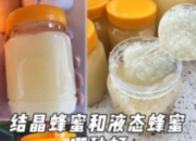 结晶还是液态，哪种才是真蜂蜜